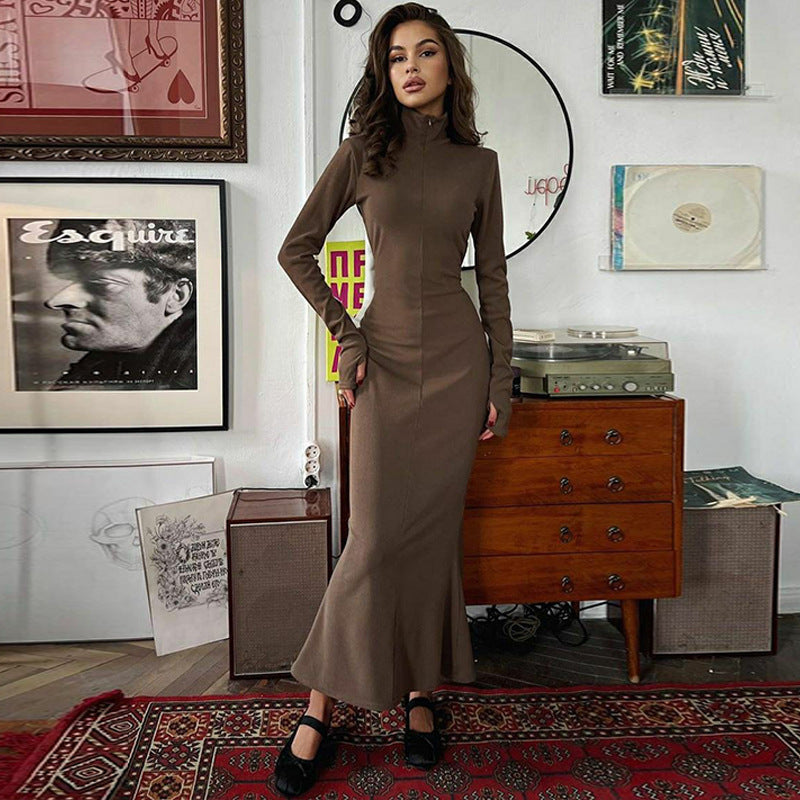 Ruby Turtleneck Long Sleeve Bodycon Long Dress