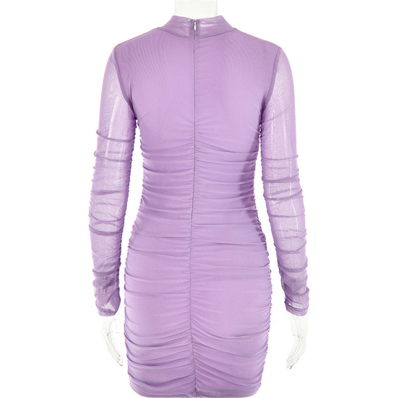 Natalie Turtleneck Long Sleeve Ruched Mini Dress