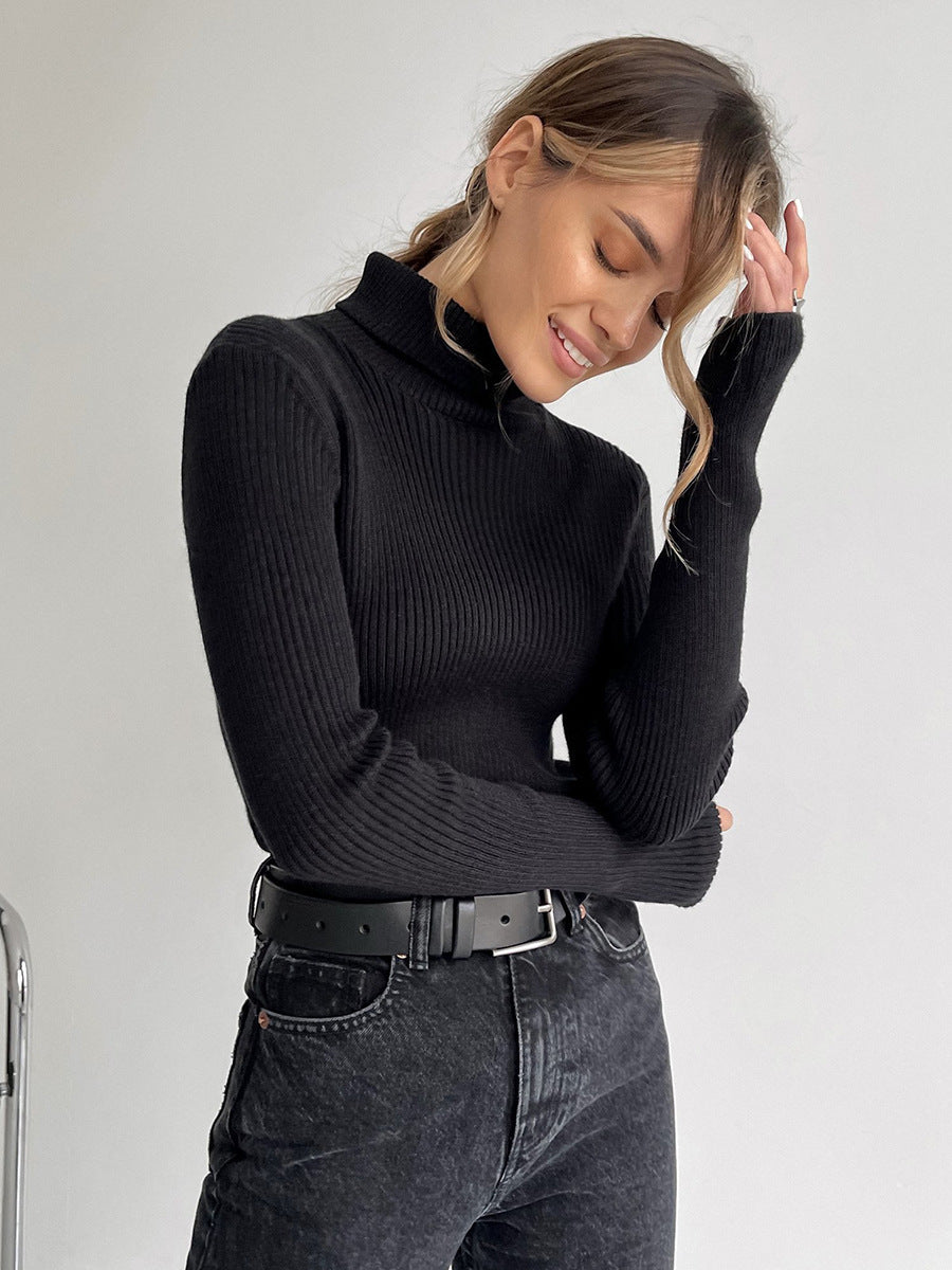 Shirley Turtleneck Slim Women Sweater