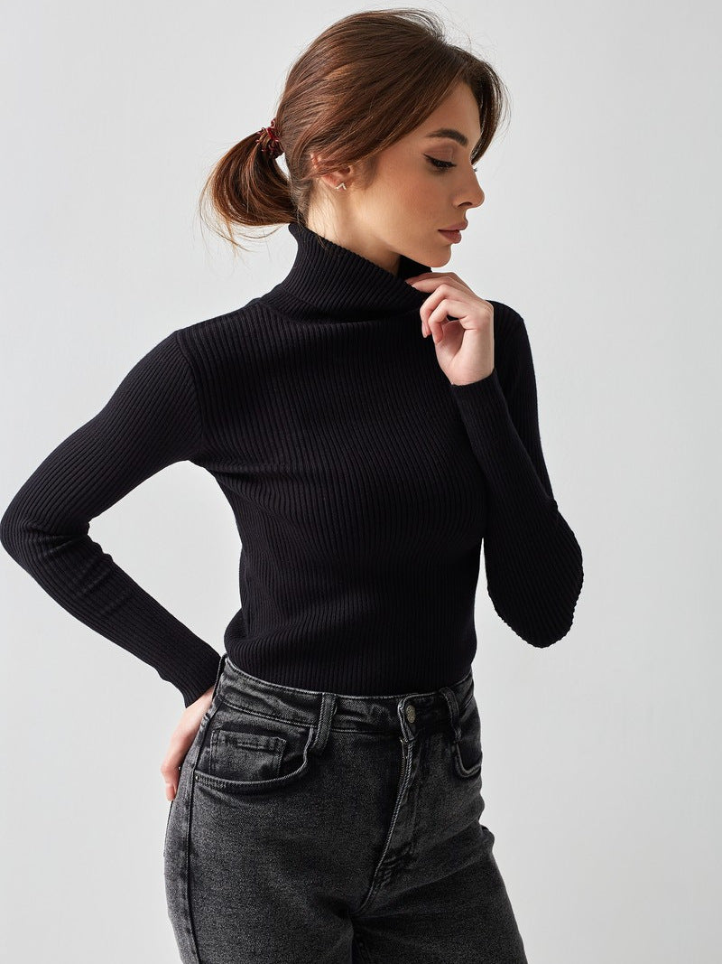 Nikki Turtleneck Soft Warm Women Sweater