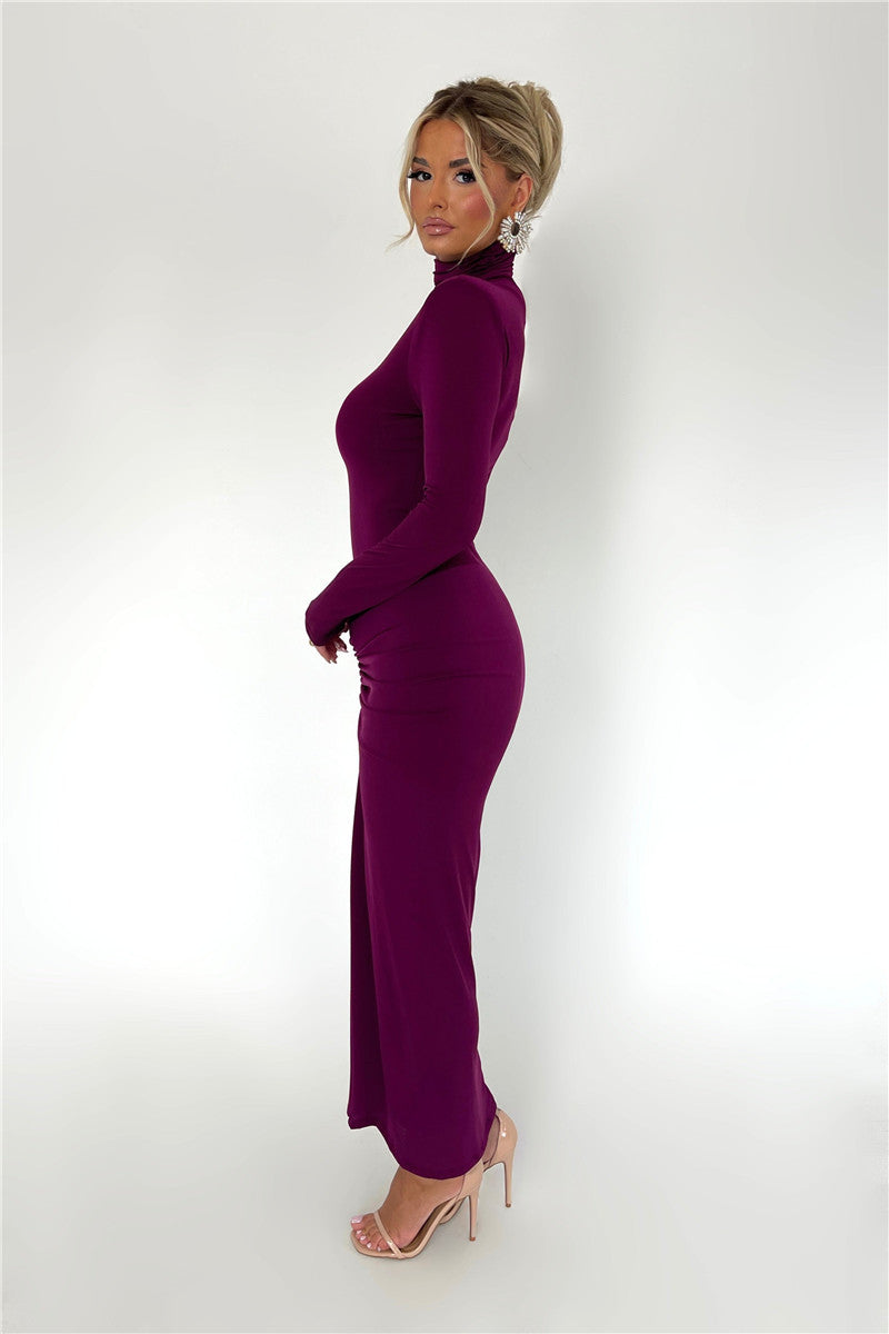 Janice Turtleneck Long Sleeve Bodycon Maxi Dress