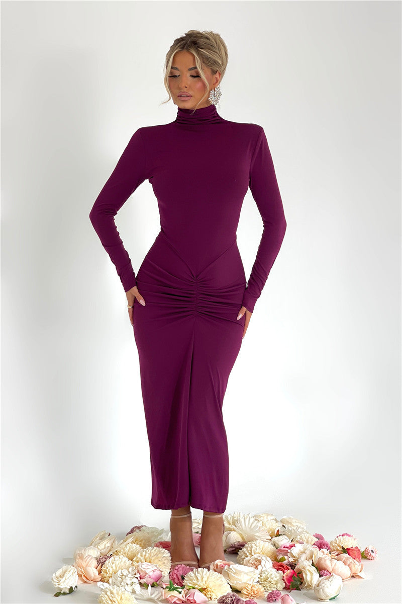 Janice Turtleneck Long Sleeve Bodycon Maxi Dress