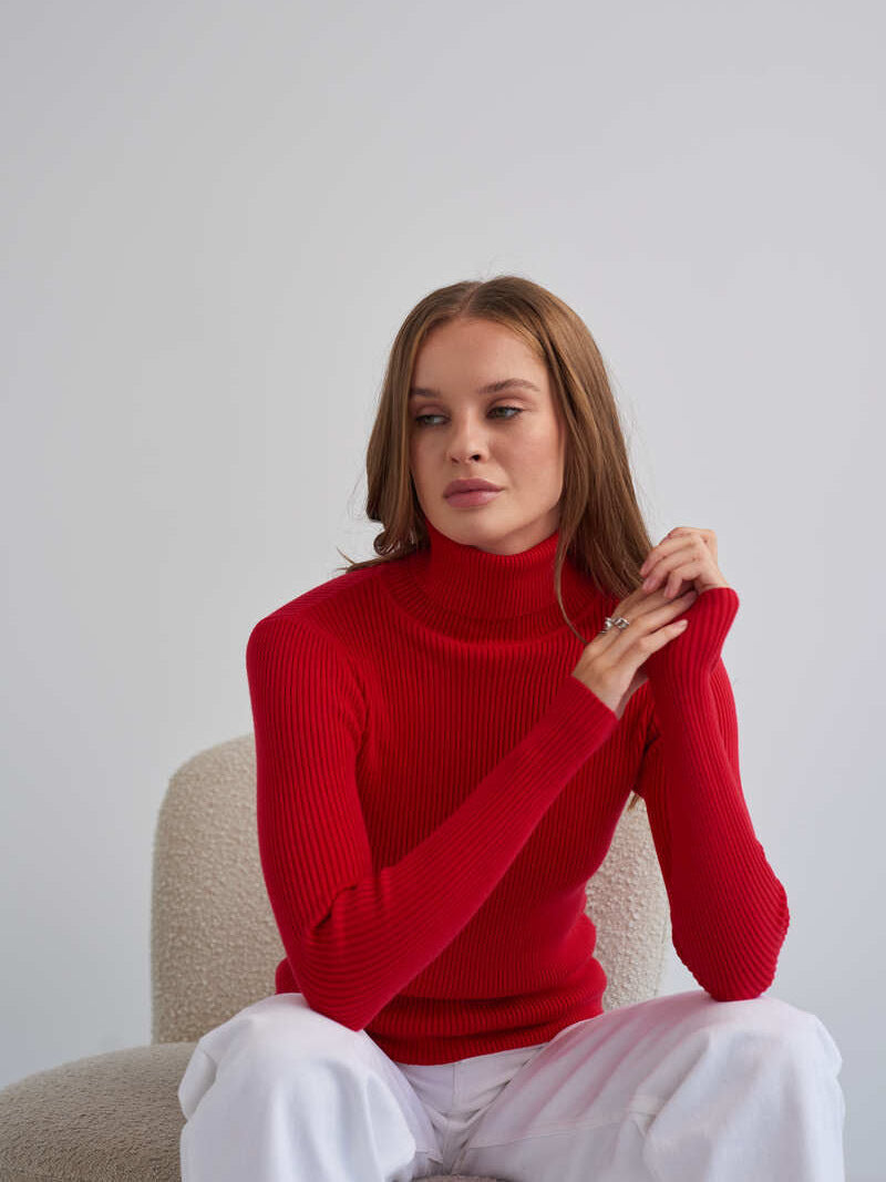 Barbara Turtleneck Women Sweater