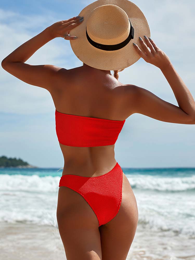 Ruby High Waist Tube Top Sexy Bikini