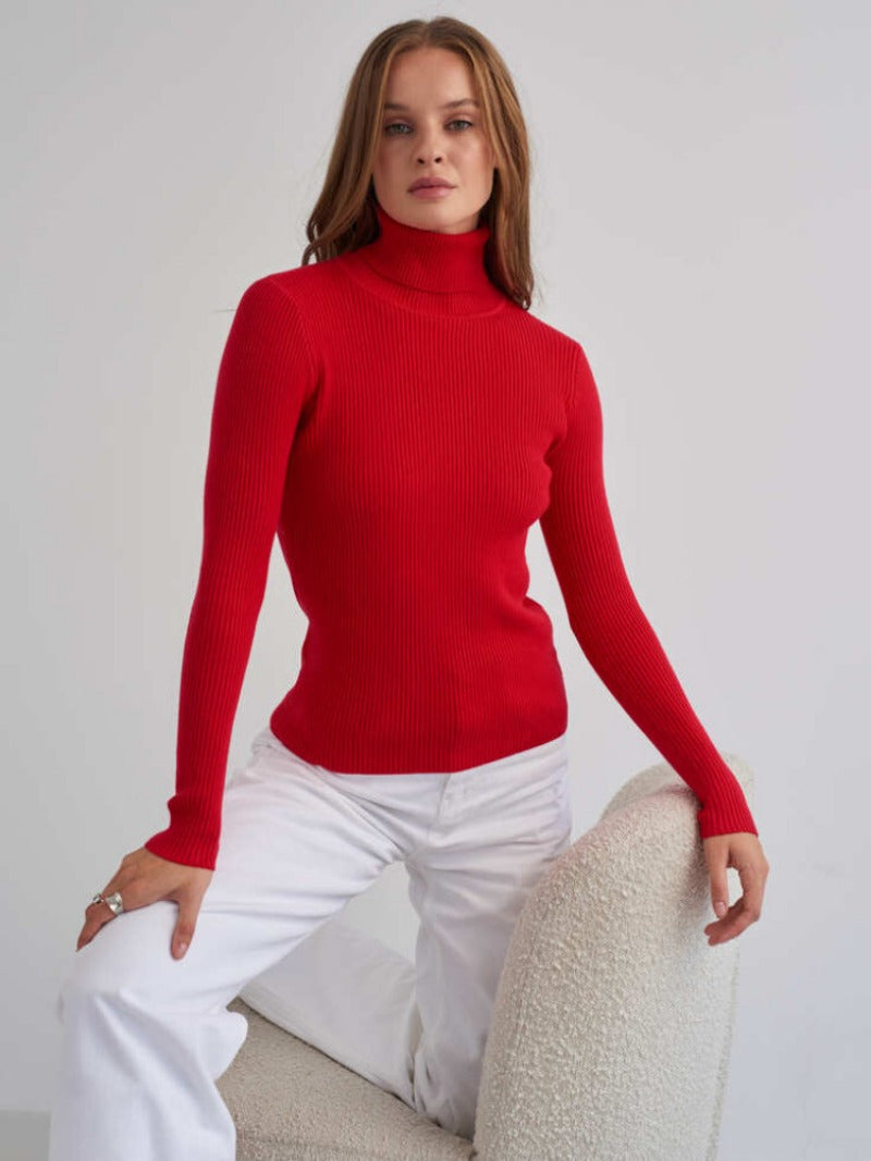 Barbara Turtleneck Women Sweater