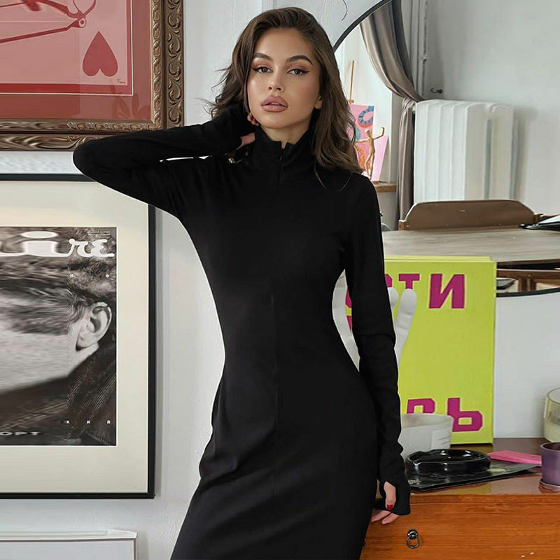 Ruby Turtleneck Long Sleeve Bodycon Long Dress