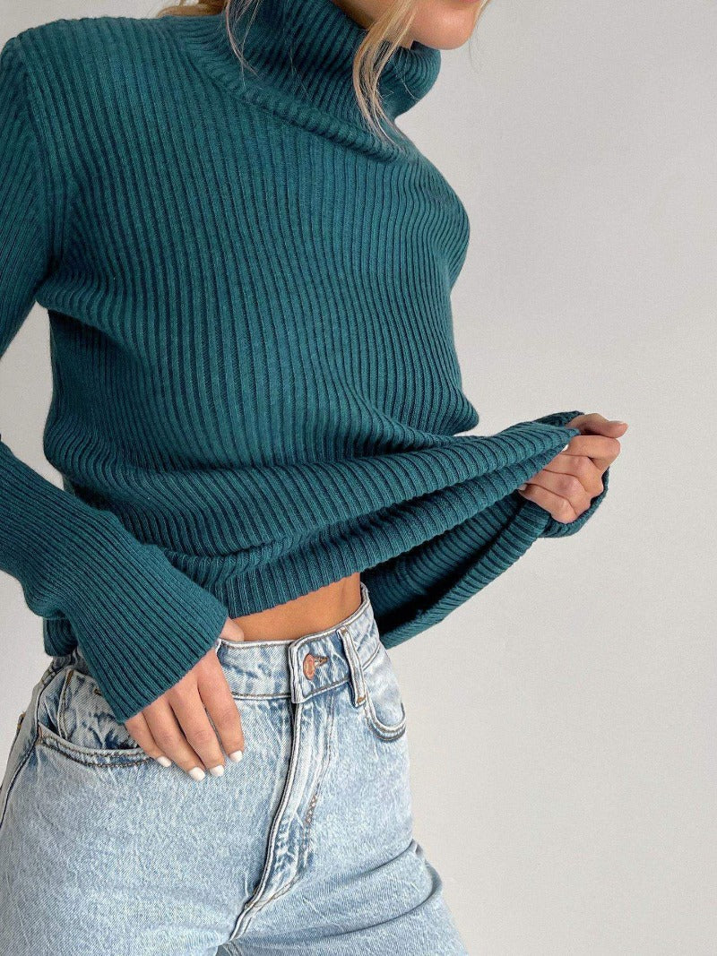 Lori Turtleneck Women Sweater